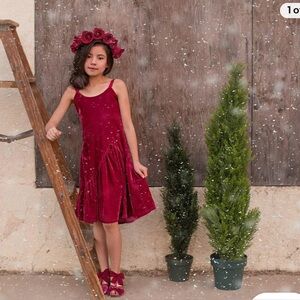 Mia Joy/Joyfolie “Olive” dress Berry Velour size 14y NWT